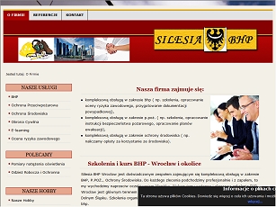 Oferta firmy Silesia BHP to szkolenia i kursy BHP dla Twojej firmy